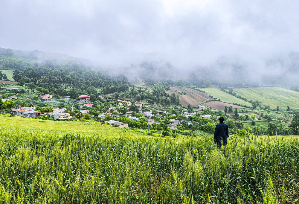 Photograph by Arezoo Arianpour