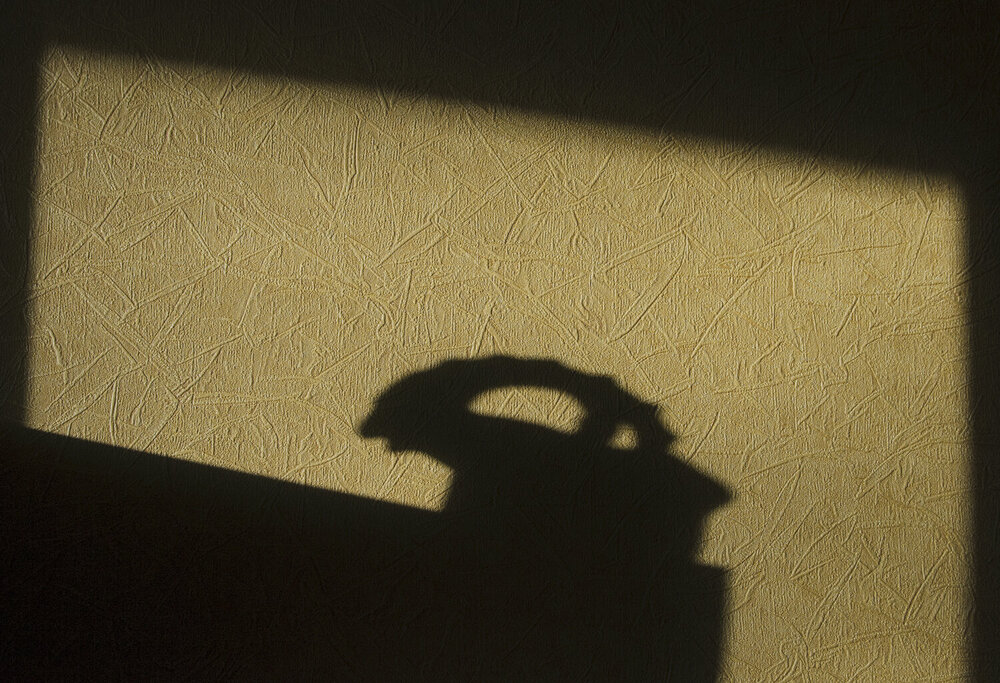 Photograph by Фёдор Куракин