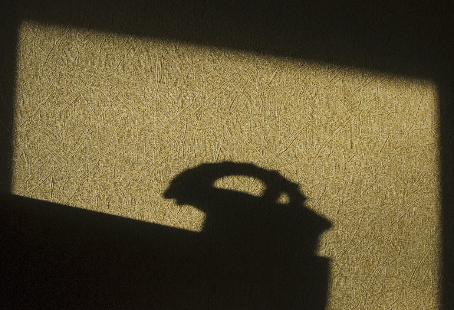 Photo #13830715