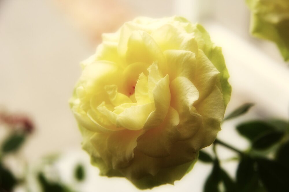 Photograph by Александр Малютин