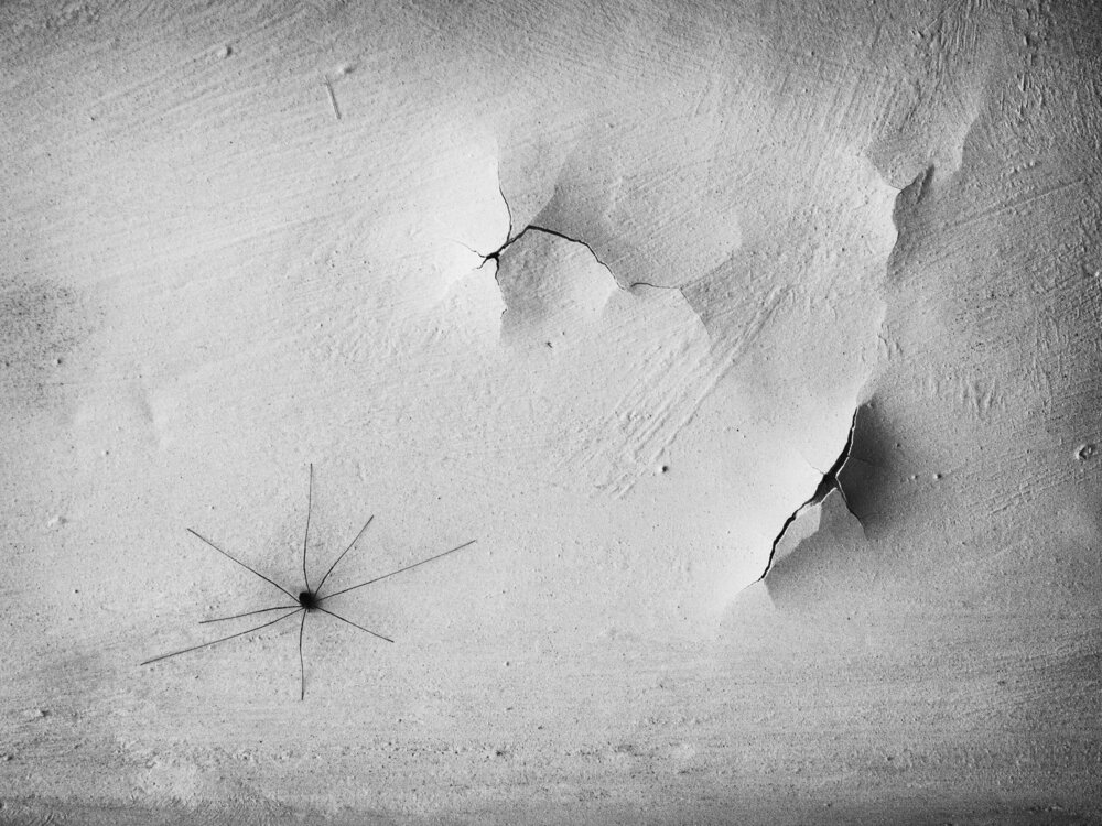 Photograph by Елена Касаткина