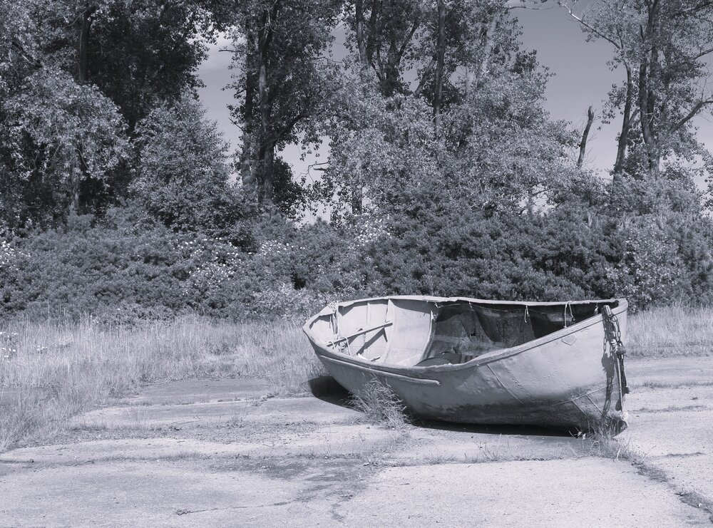 Photograph by Софья Белоногова