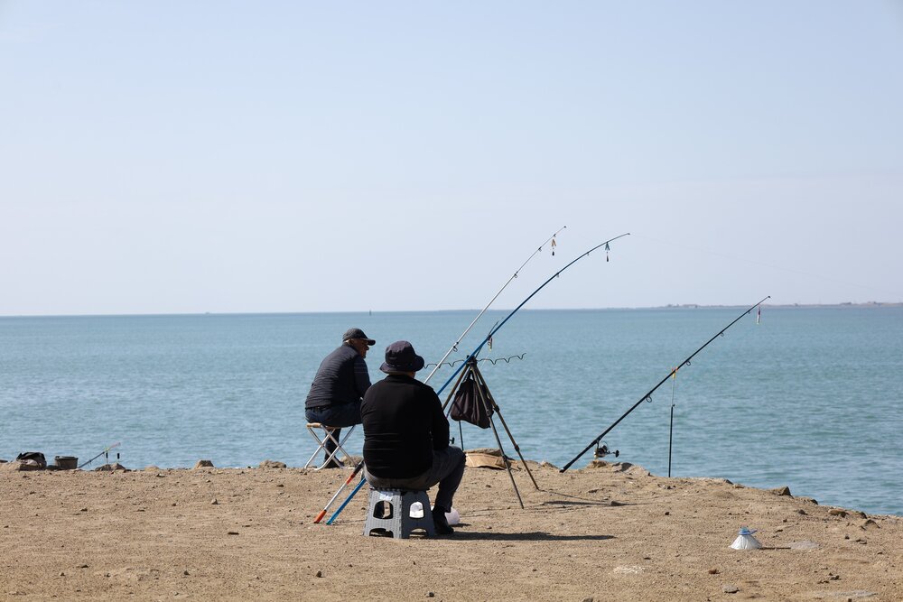 The Art of Waiting