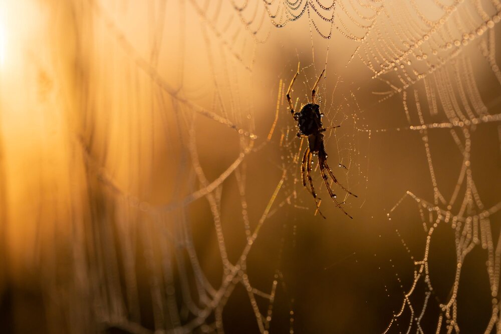 Photograph by Волынский Виктор