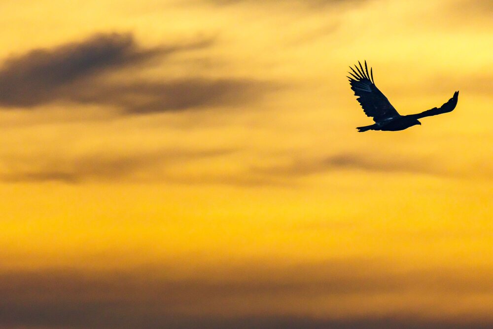 Photograph by Волынский Виктор