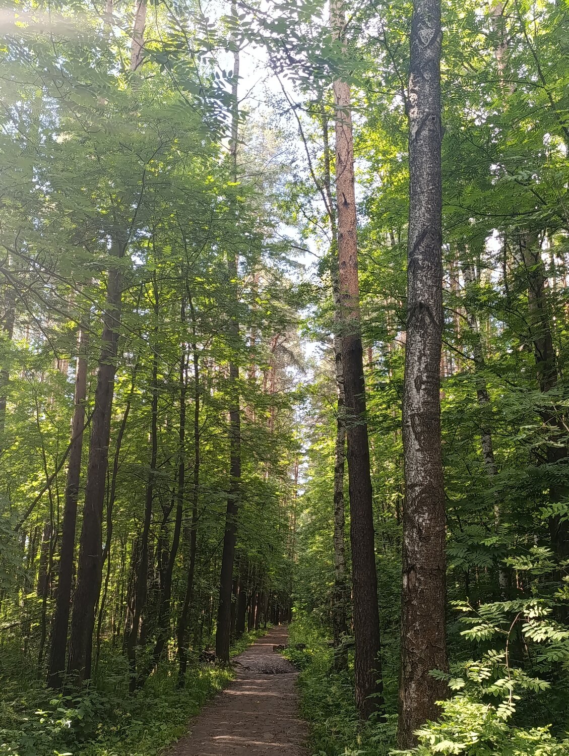 Photo #13830864