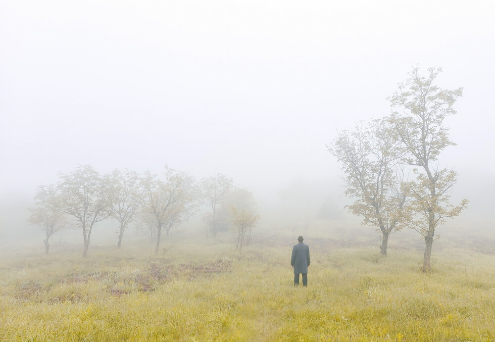 Photograph by Arezoo Arianpour