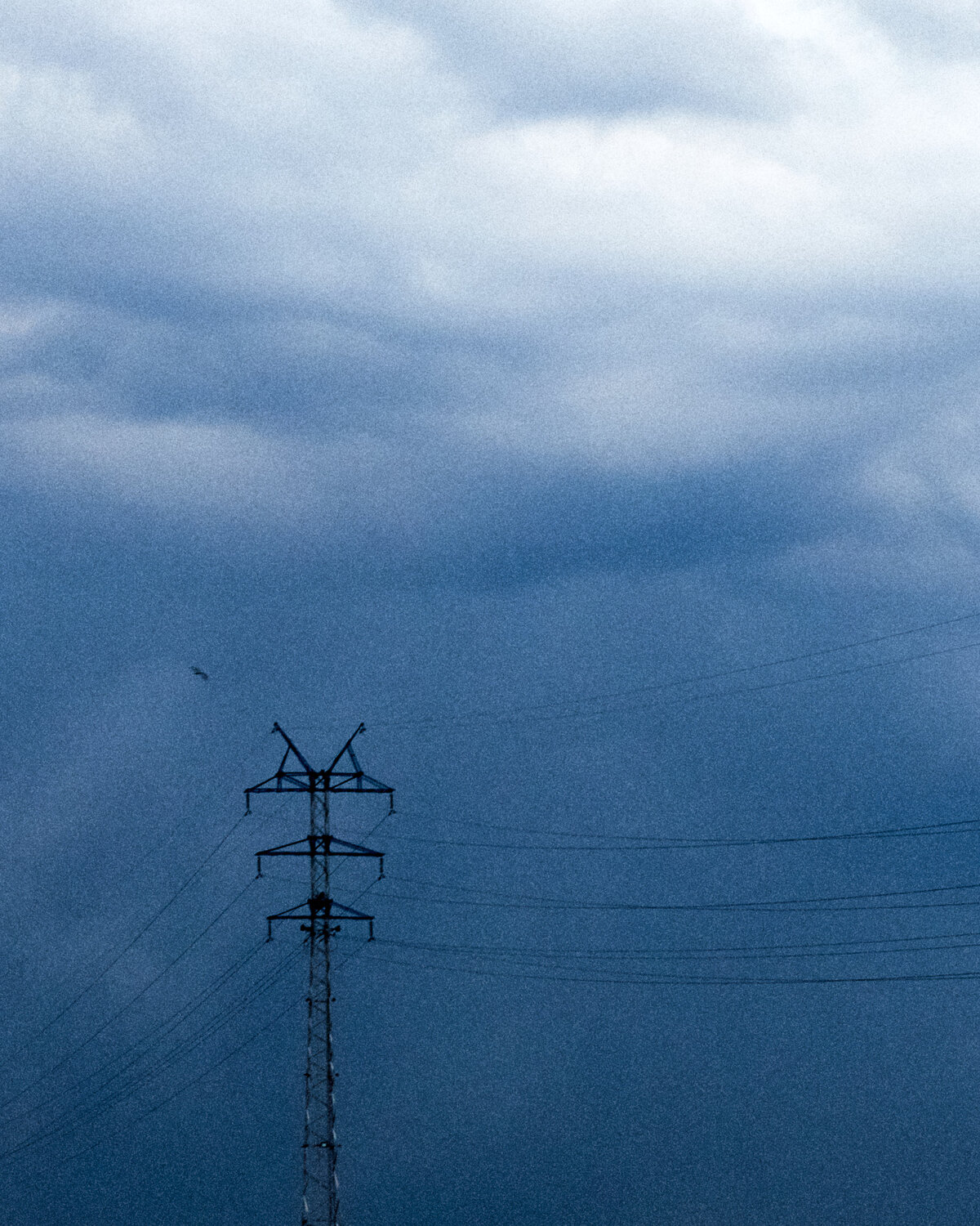 Photo #13830998
