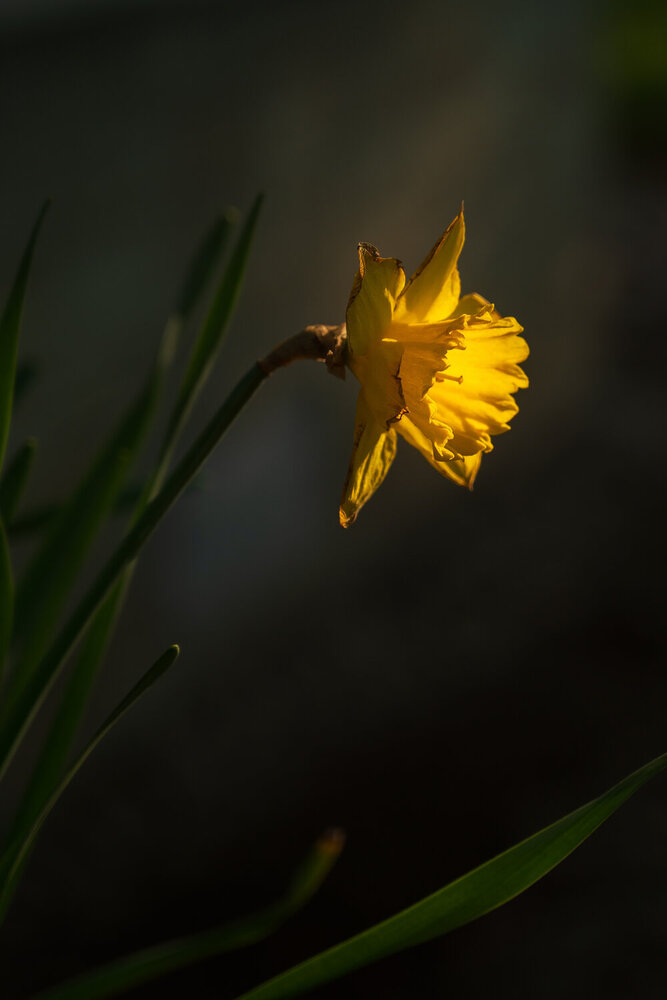 Photograph by Дьяченко Алёна