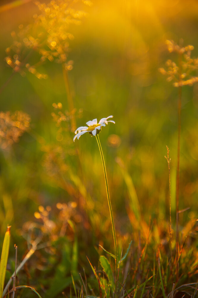 Photograph by Наталья Темная