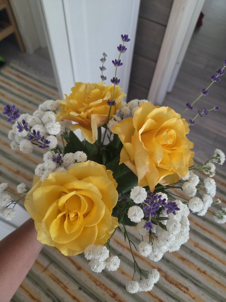 Photograph by Татьяна Пелгонен