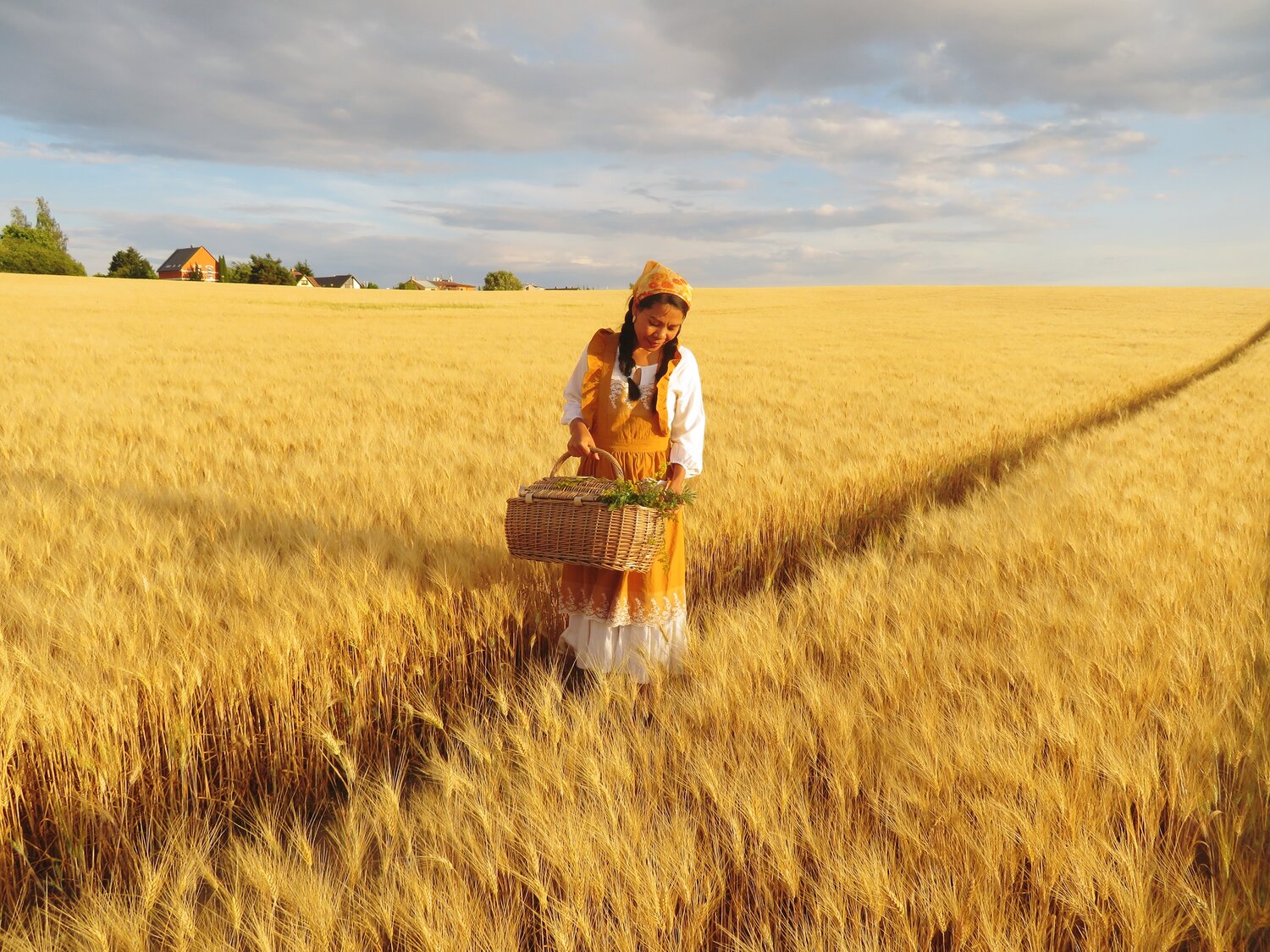 Woman in Yellow Dress Harvesting Wheat in Czech Village