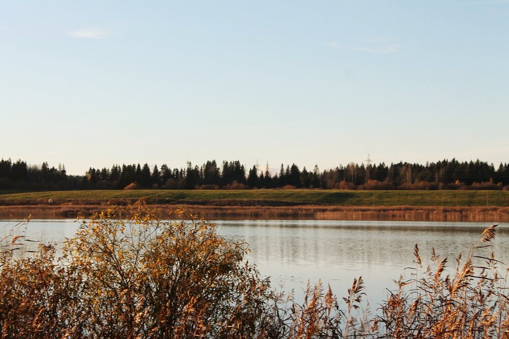Photograph by Онищук Татьяна