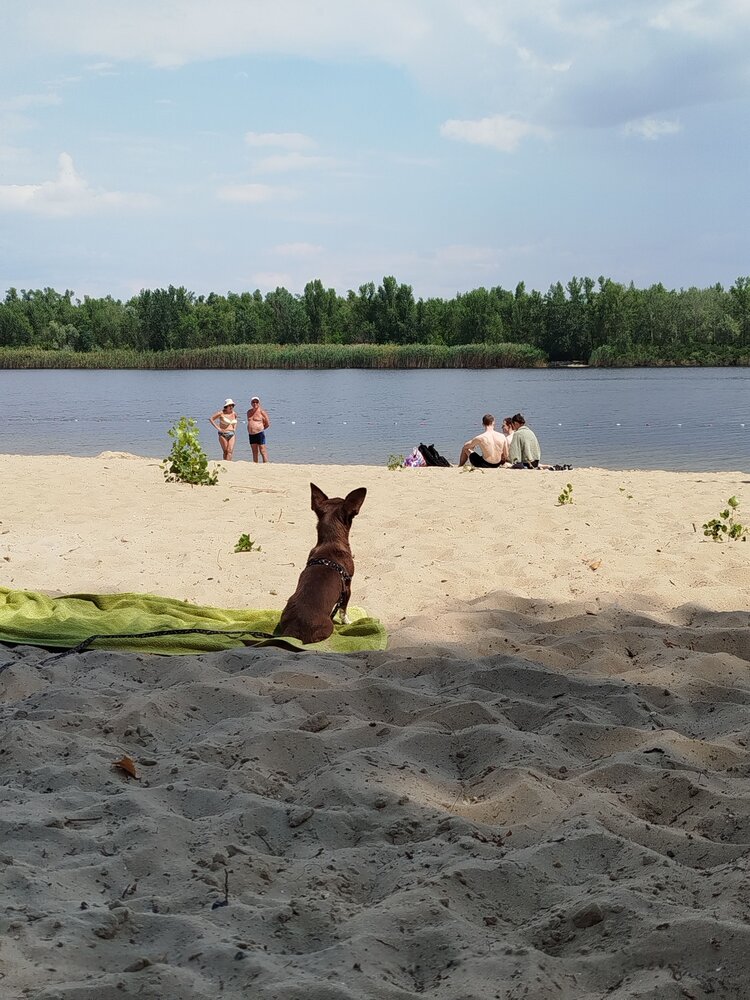 Photograph by Слесарева Елизавета