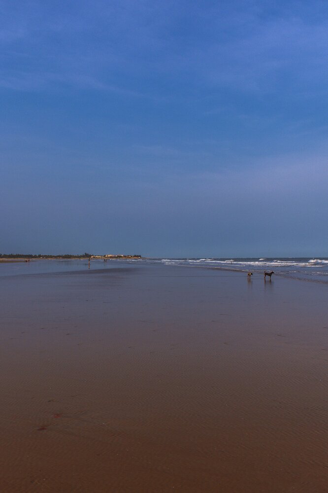 Photograph by Saikat Singha