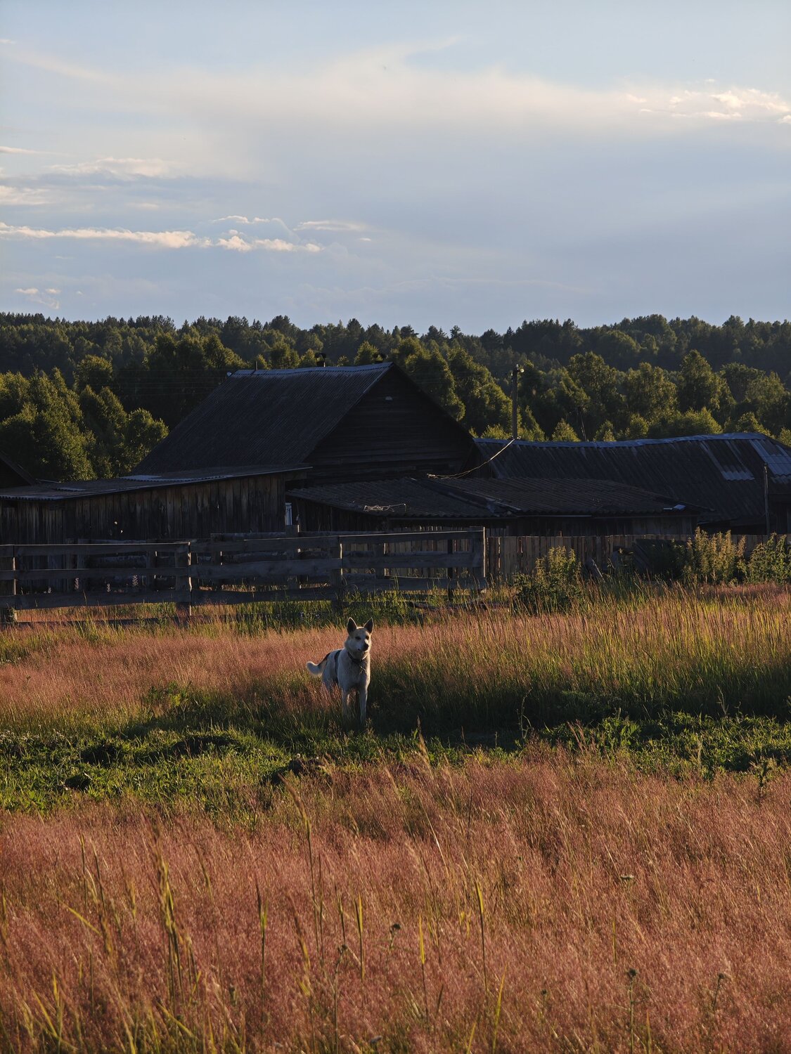 Photo #13831157