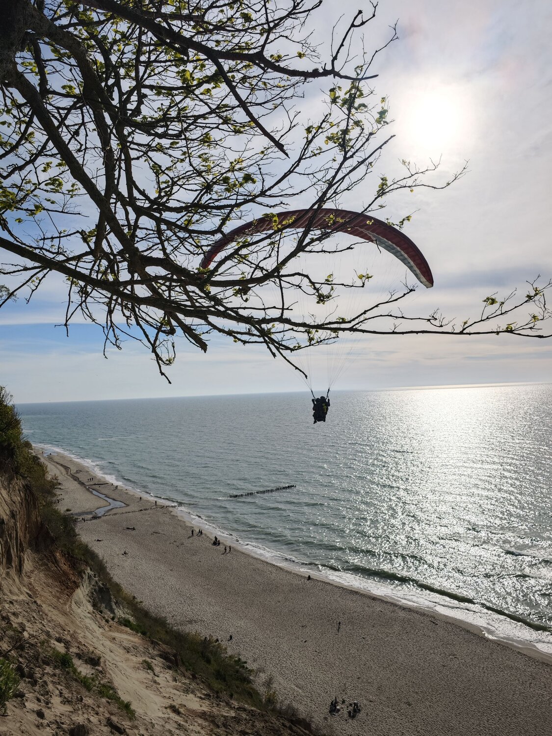 Photo #13831183