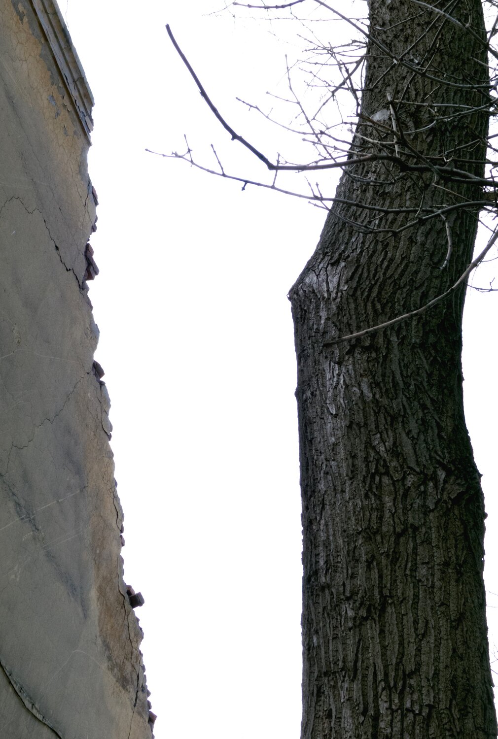 Photo #13831185