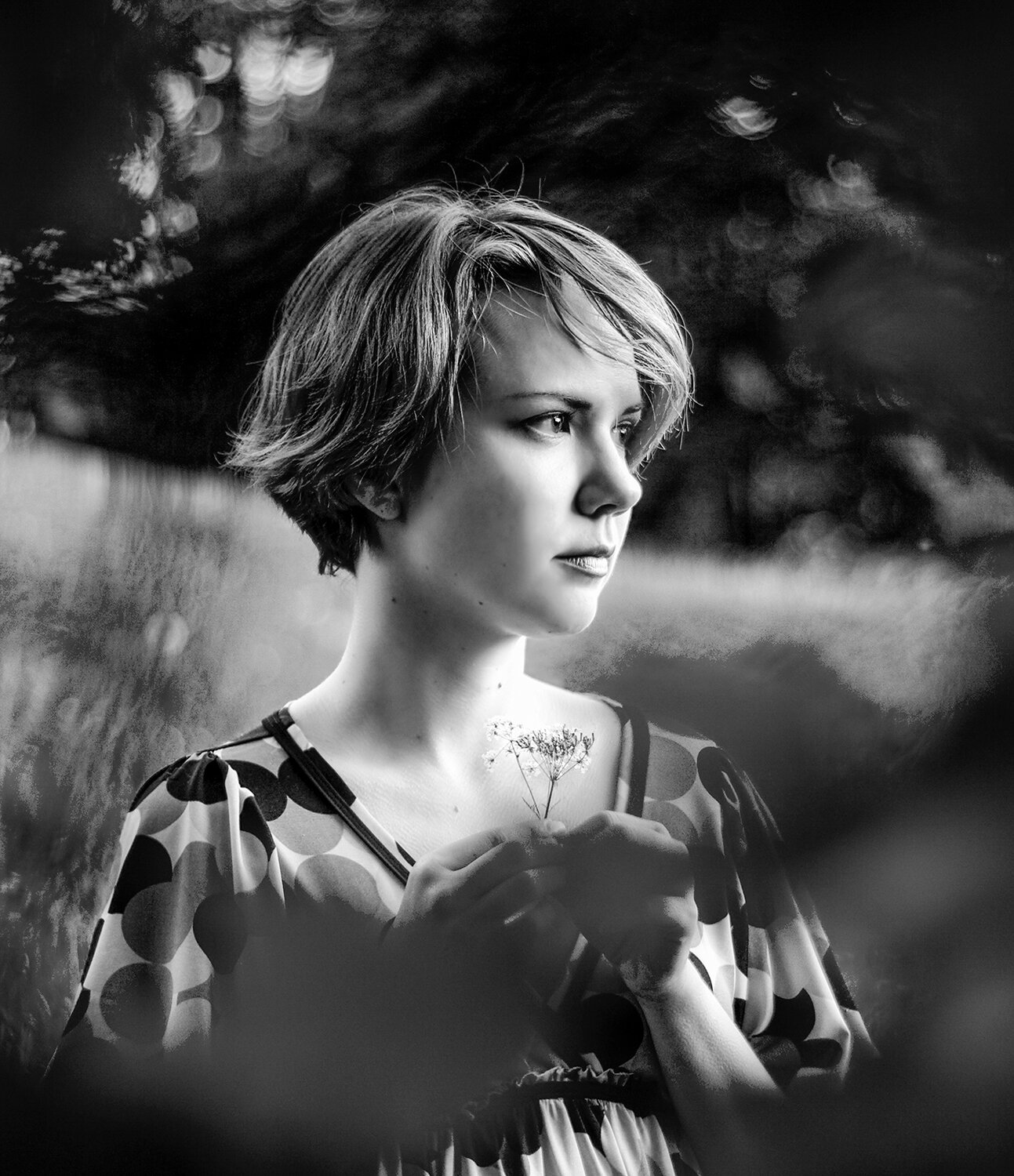 Photo #13831219