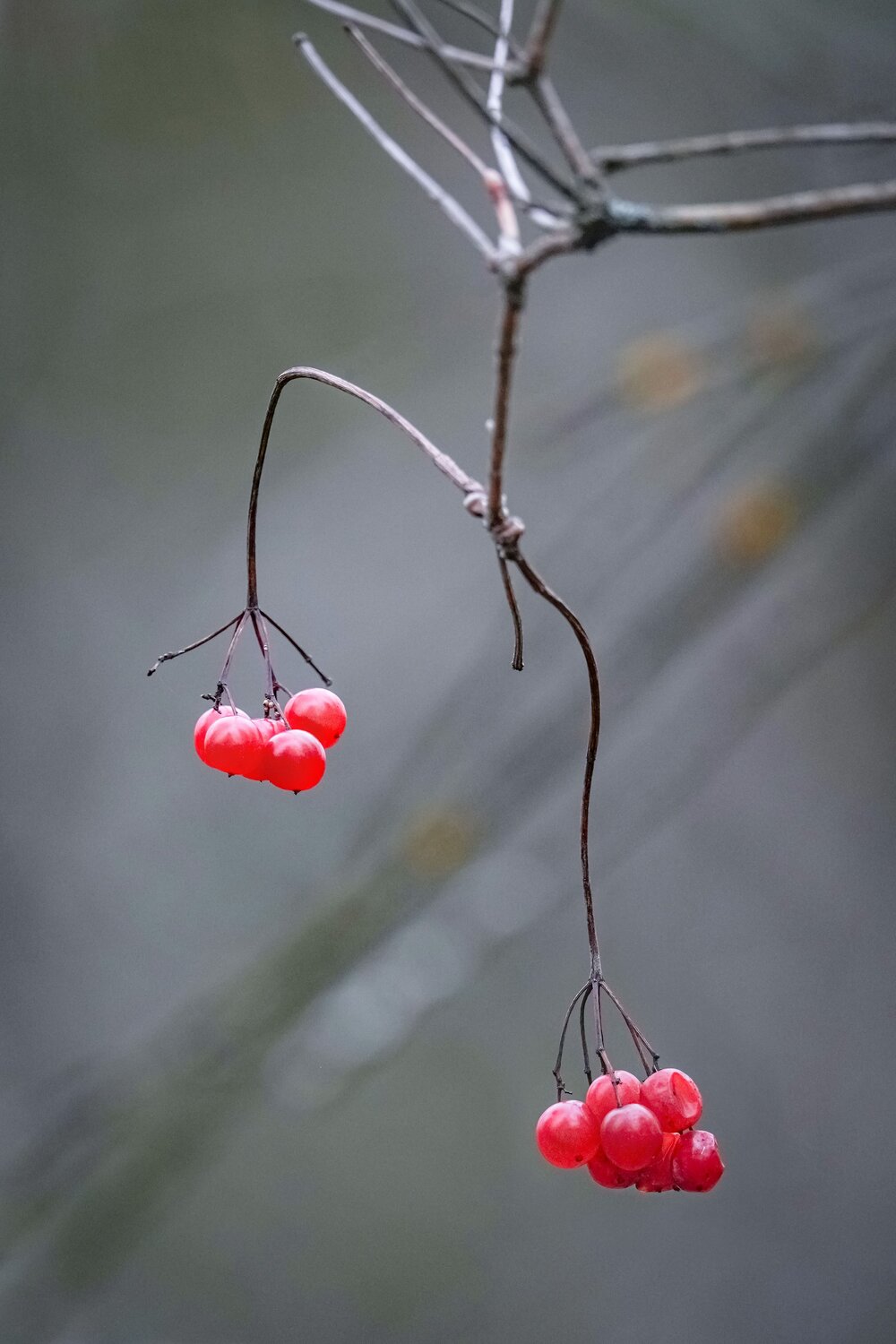 Photo #13831332
