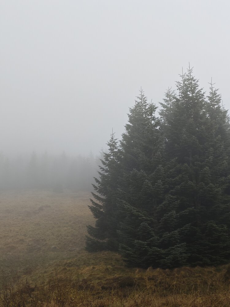 Photo #13831376
