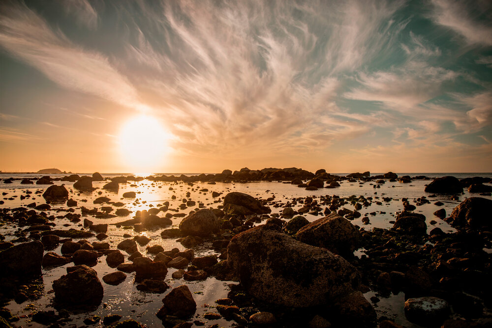 Photograph by Iris Karina