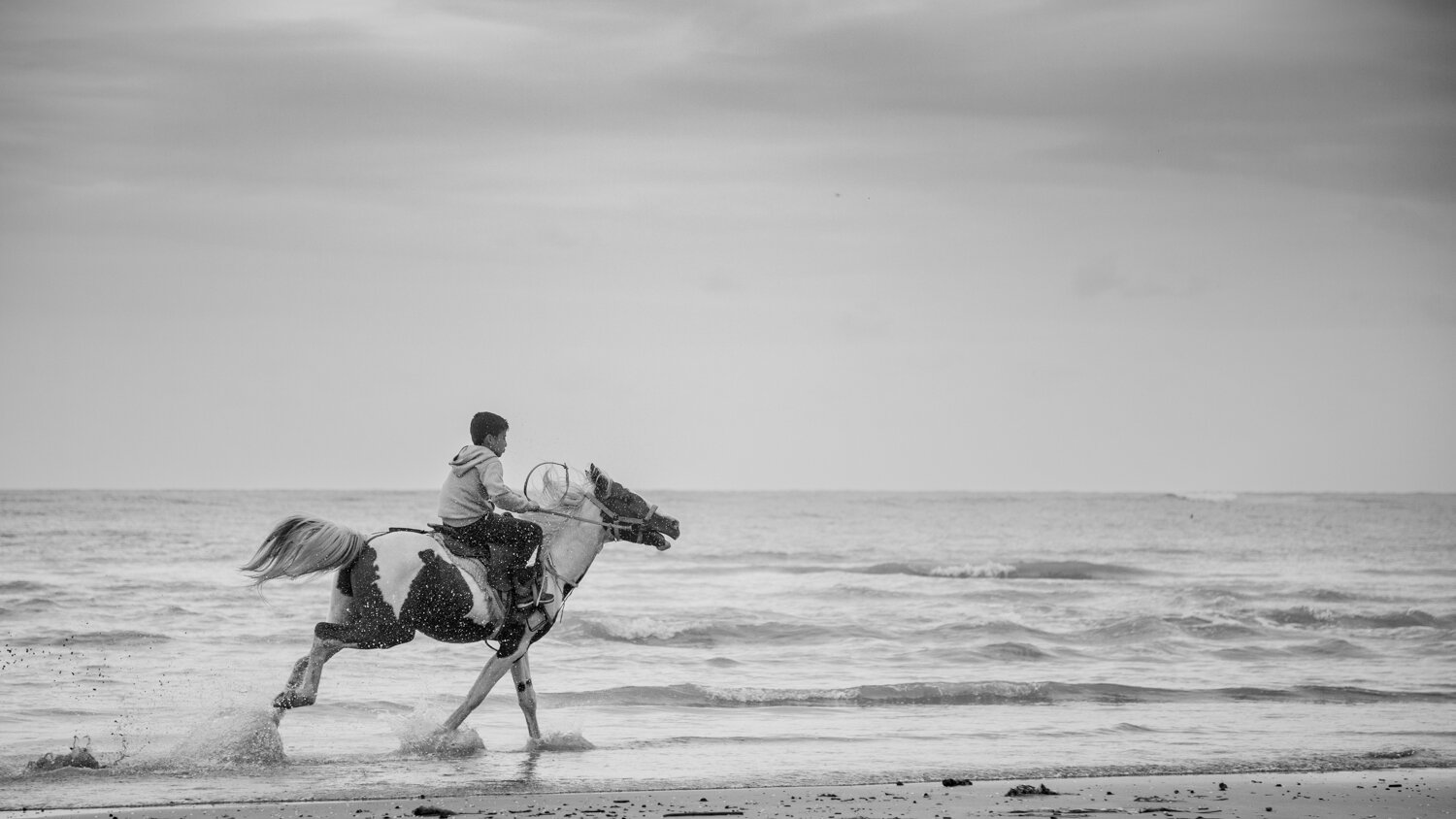 Photo #13831410