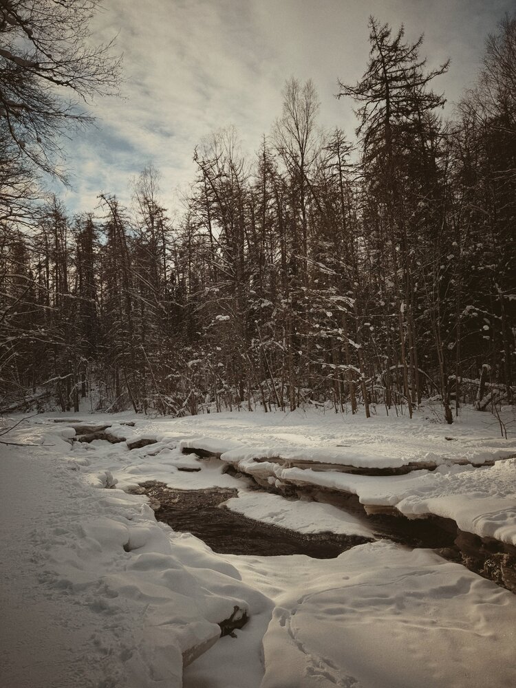 Photograph by Анна Столбова