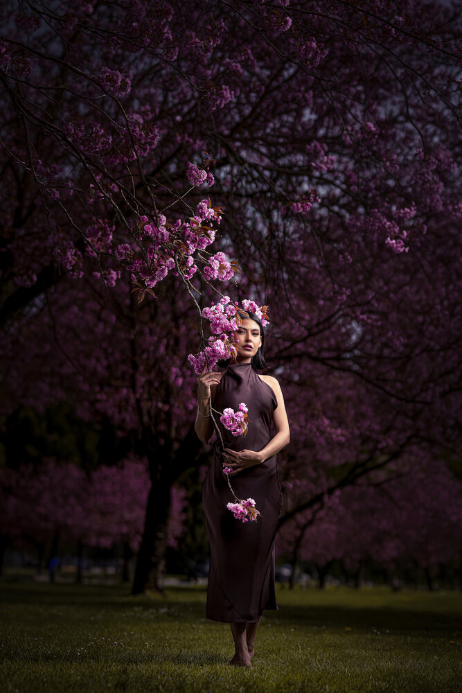 Between Shadow and Bloom