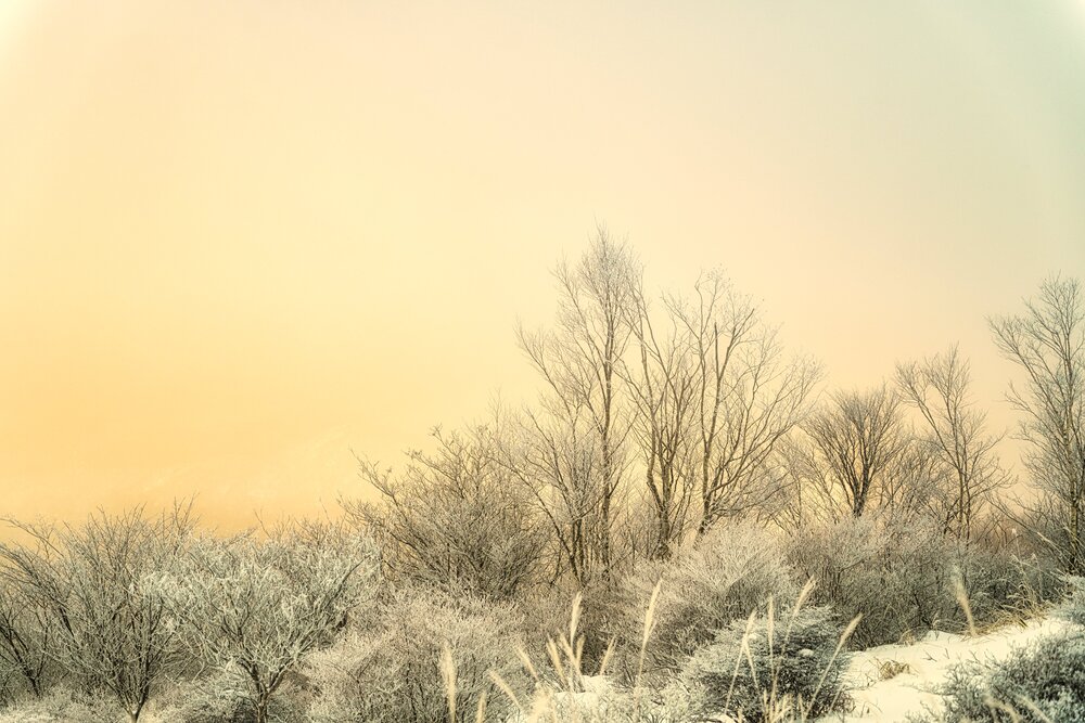 Photograph by Dyeyou