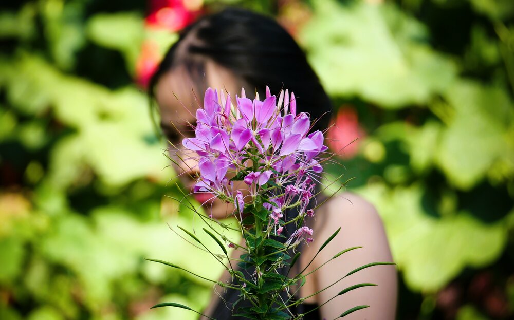 Photograph by Владимир Зубанков