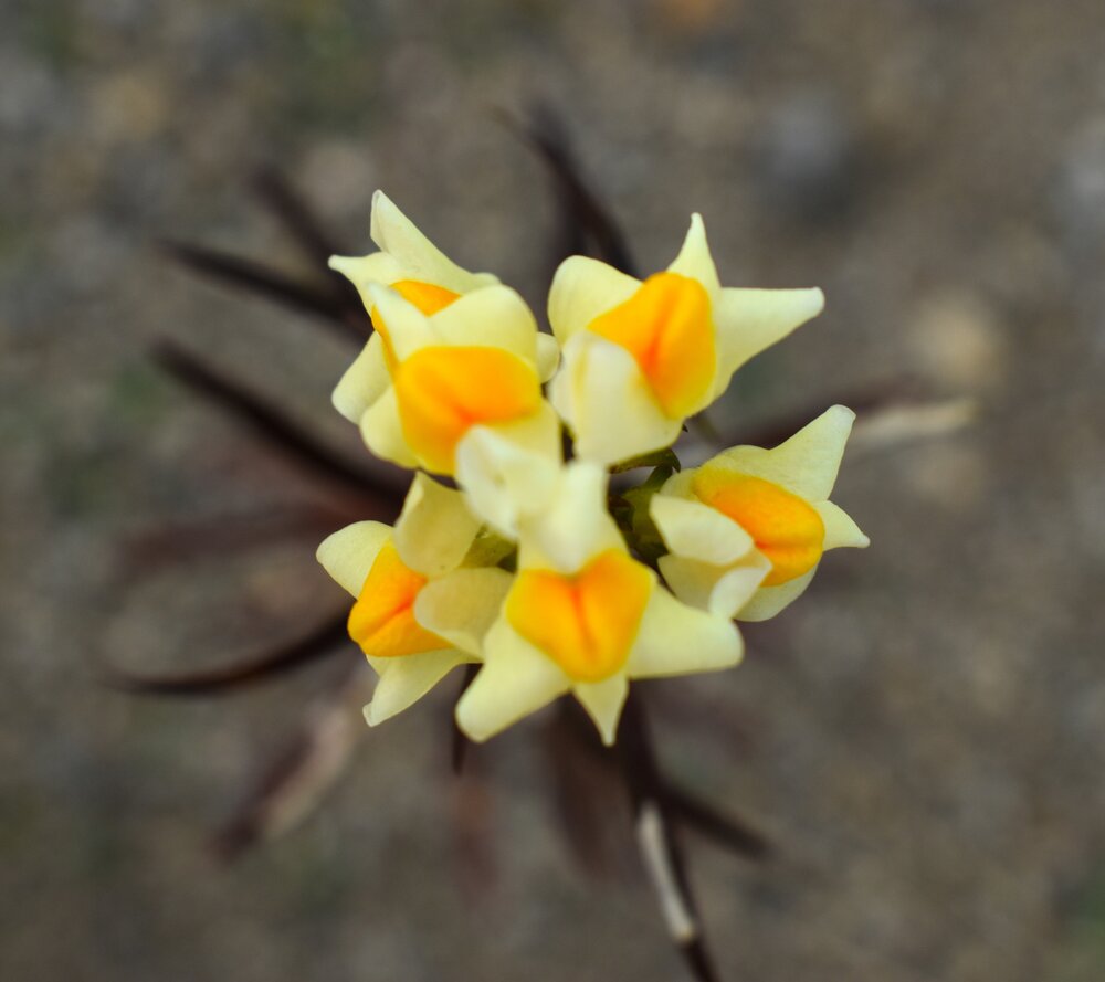 Photograph by Юлия Климова