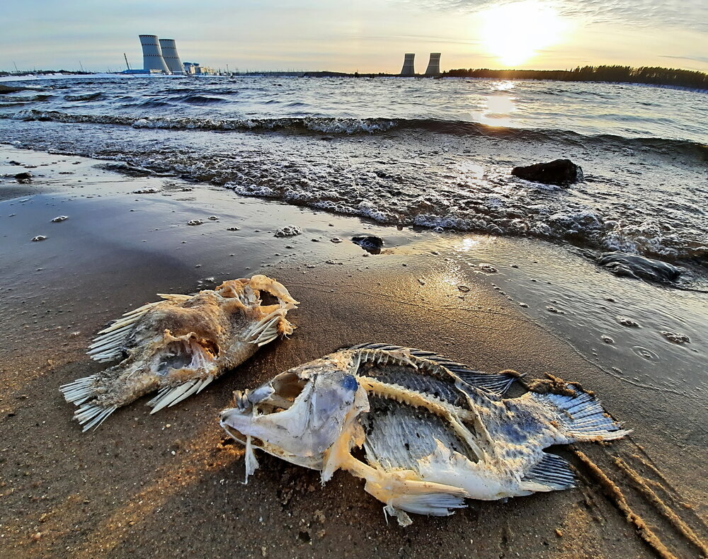 Photograph by Александр Лазебник