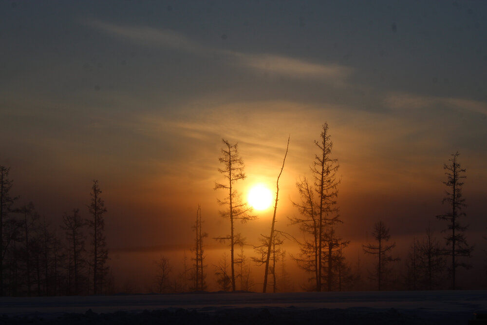 Photograph by Михаил Мархинин
