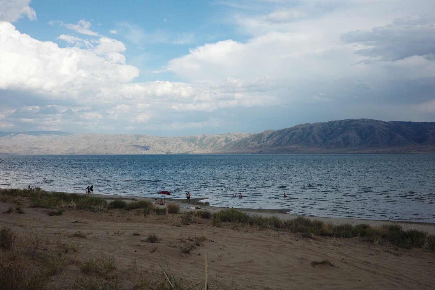 Photo #13831698