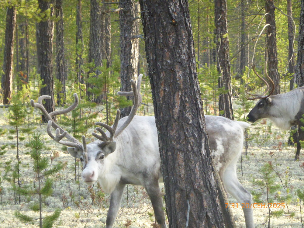 Photo #13831731