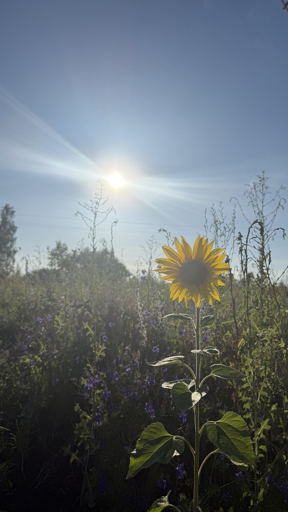 Photograph by Елена Гущина