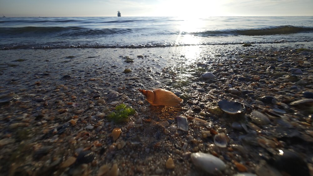 Photograph by Николай Грекалов