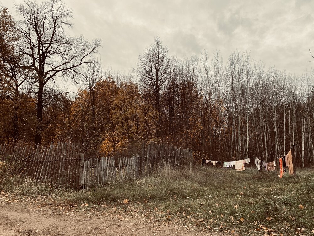 Фотография автора Елена Гущина