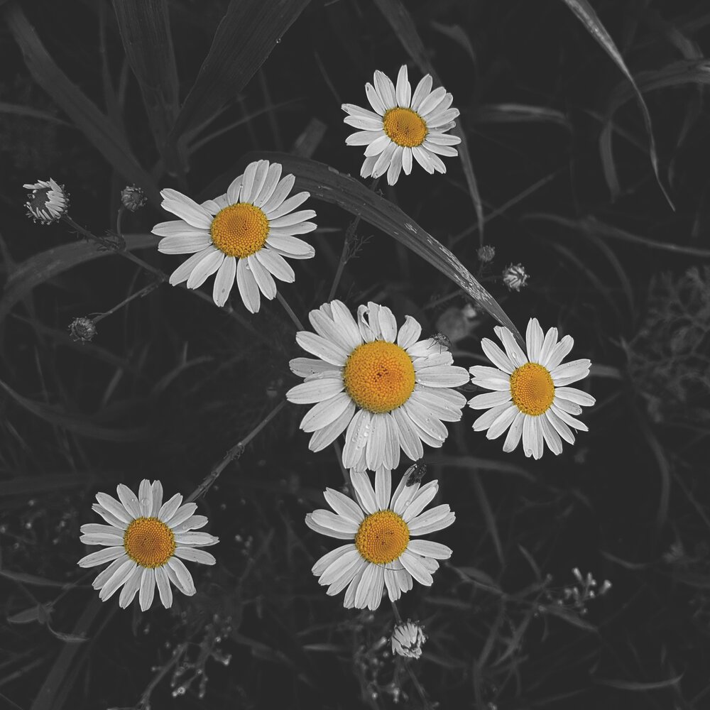 Photograph by артём мякинник