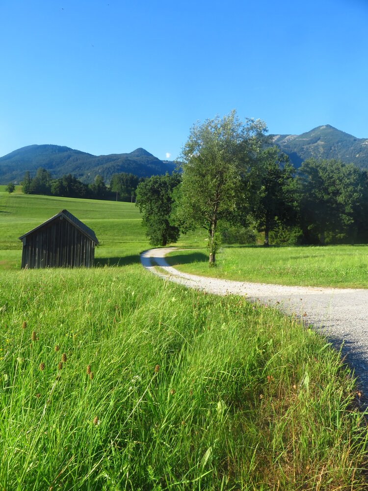 Peaceful Village Road by the Mountains