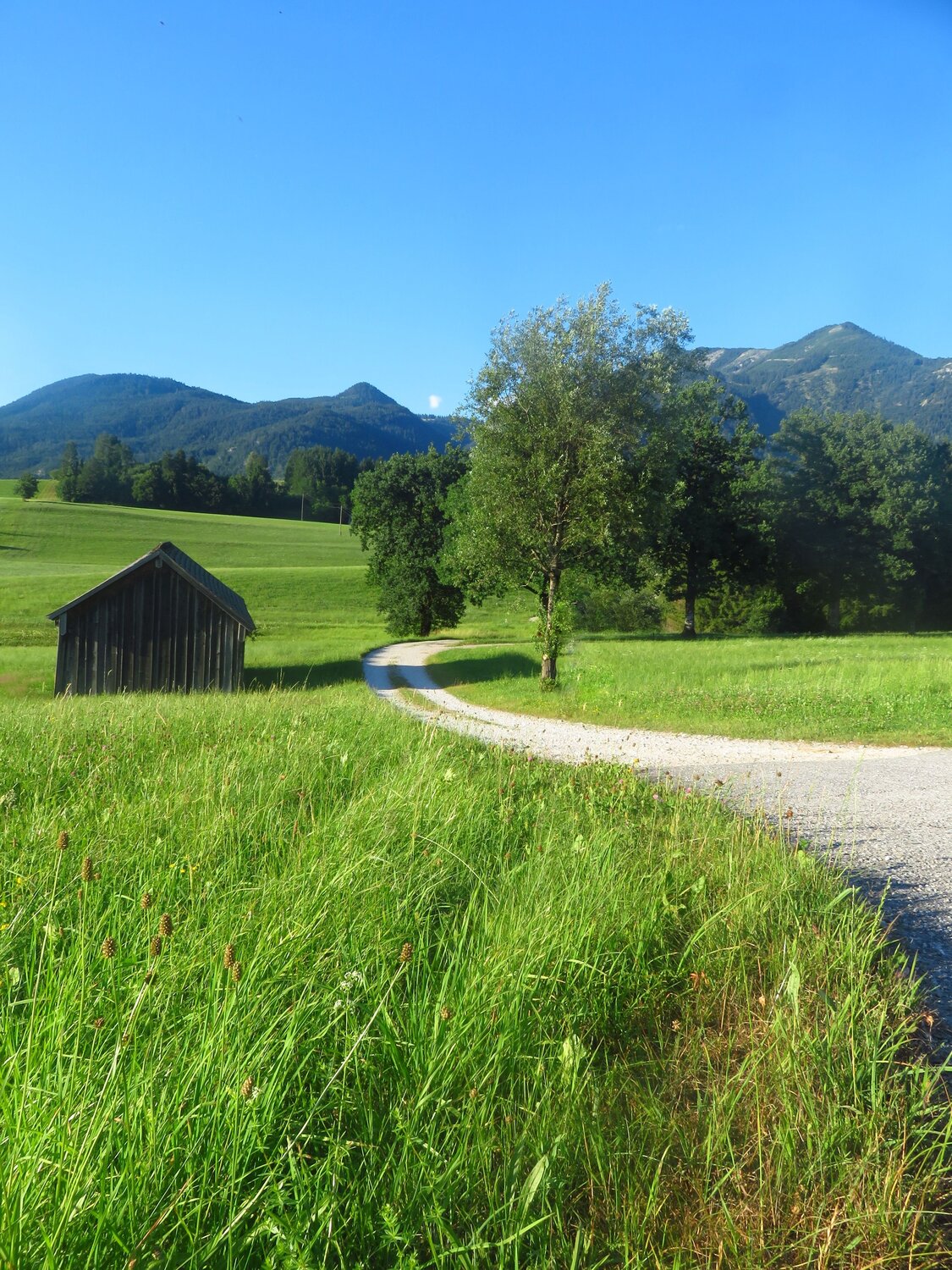 Peaceful Village Road by the Mountains