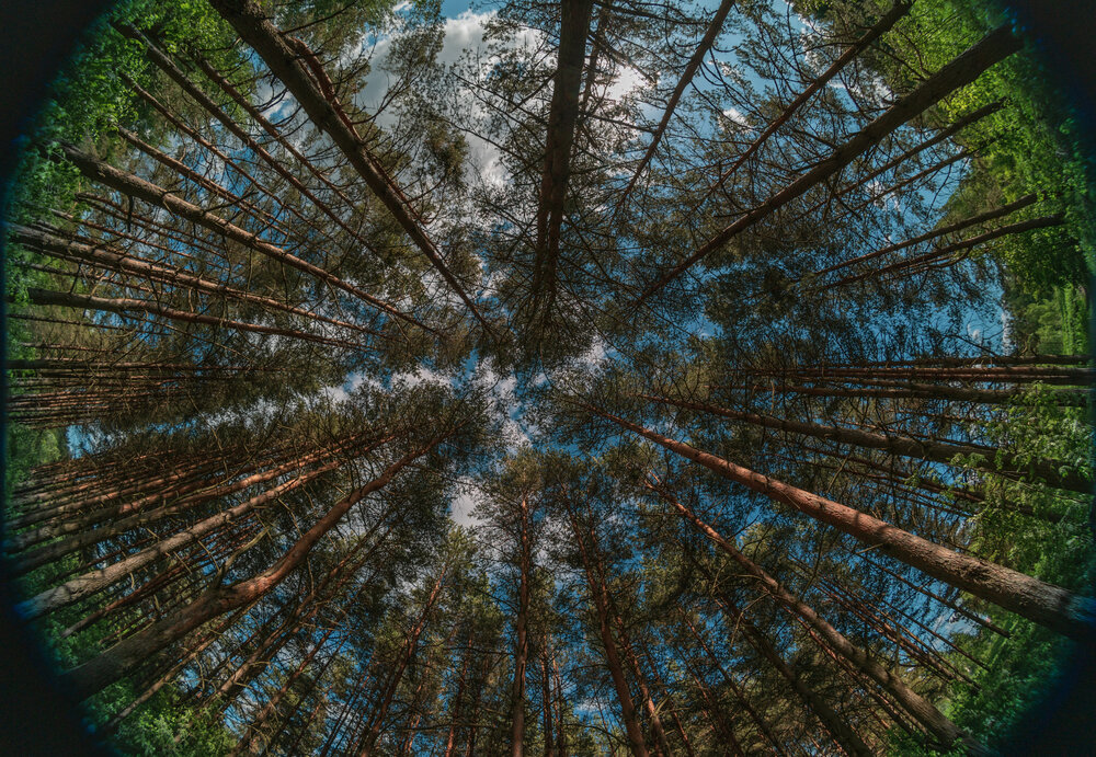 Photograph by Maxim Belous