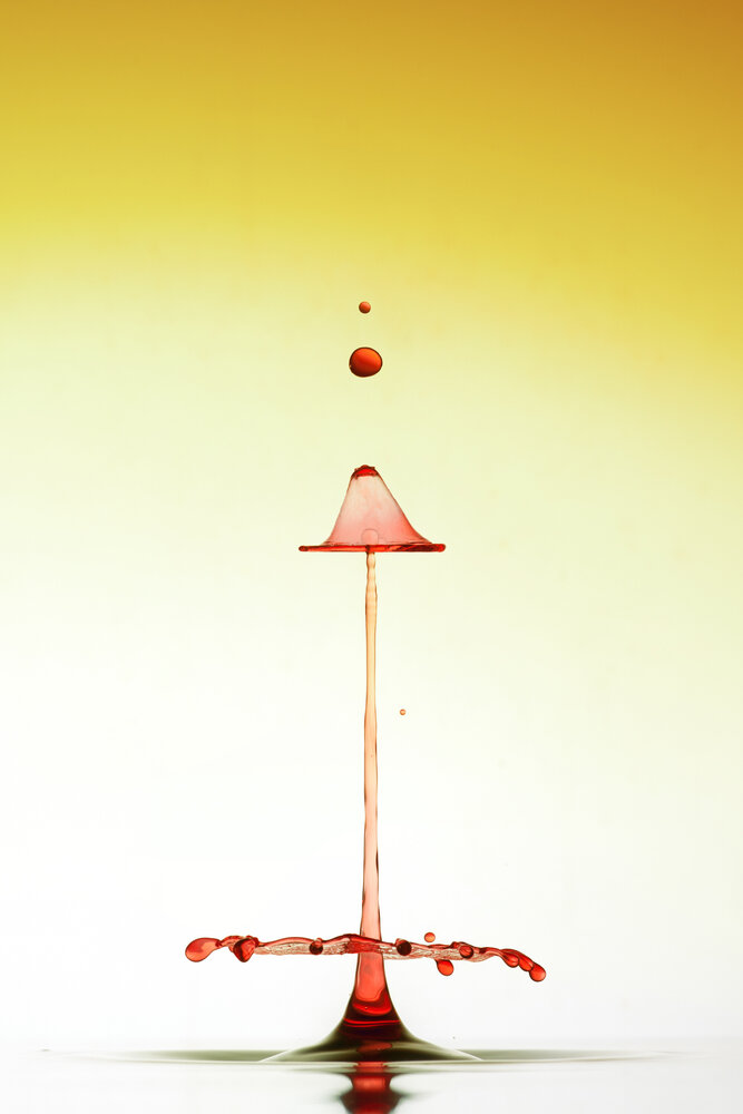 Photograph by Veli Aydoğdu
