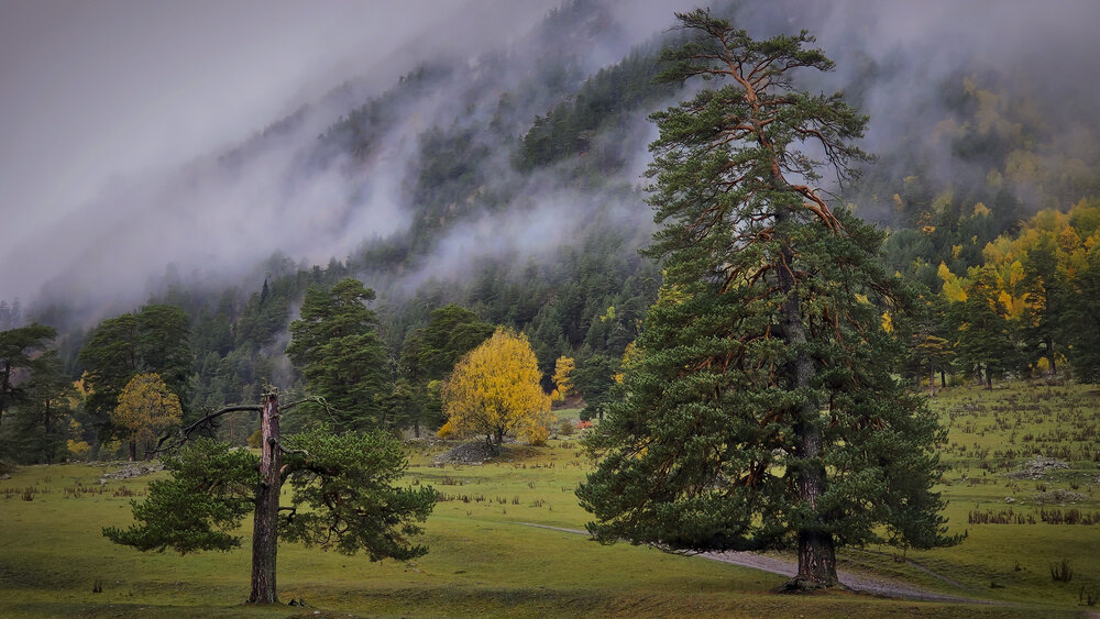 Photograph by Пирог Борис