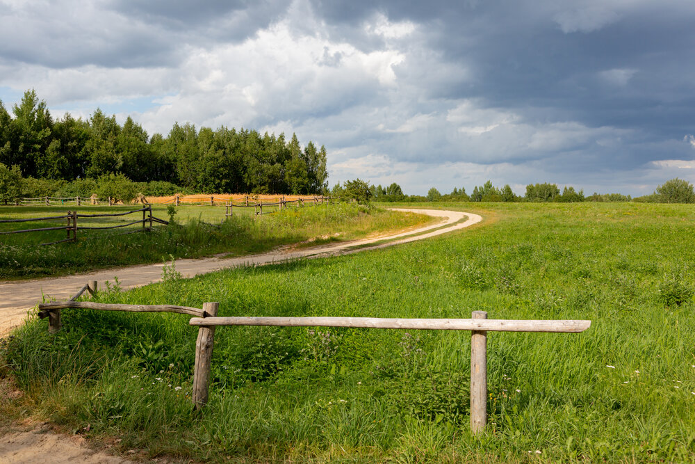 Photograph by Диана Бородзе