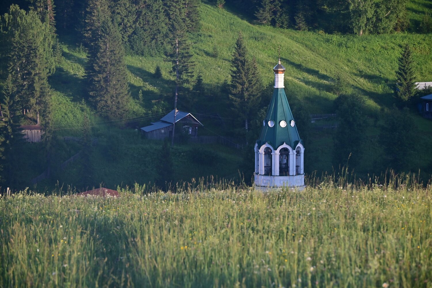 Photo #13832000