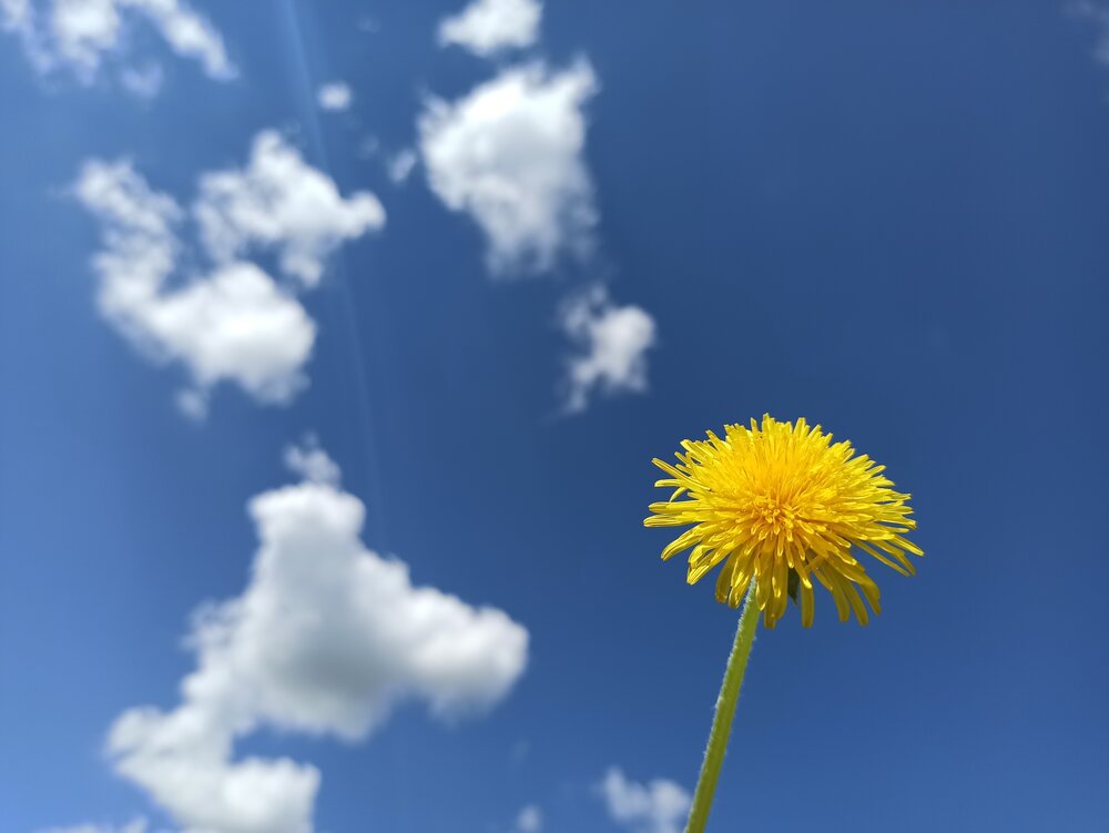 Photograph by Александр Малютин