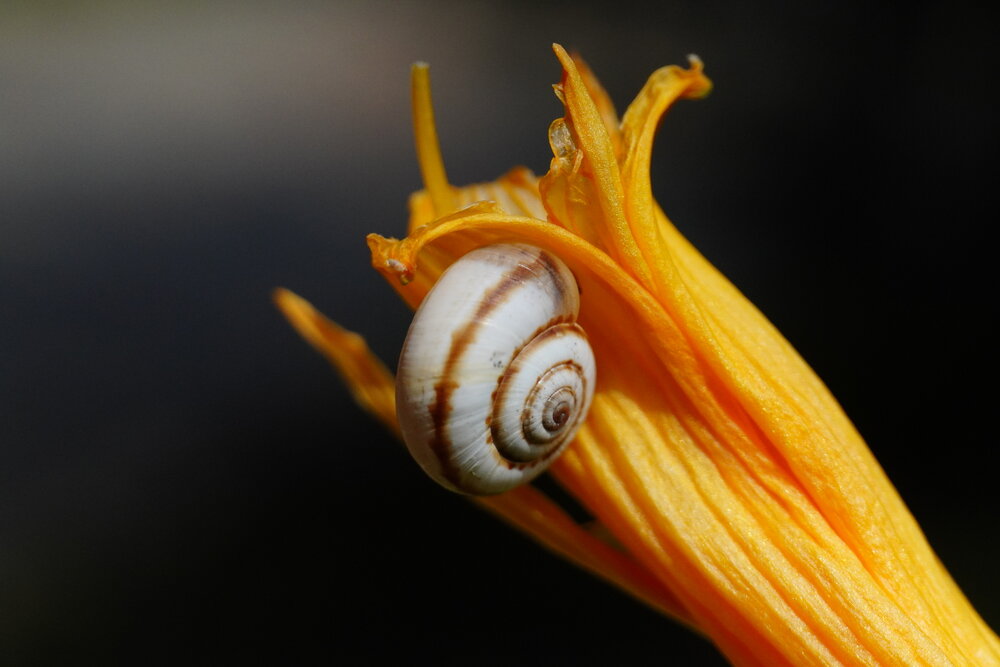 Photograph by Galya Zhdanova