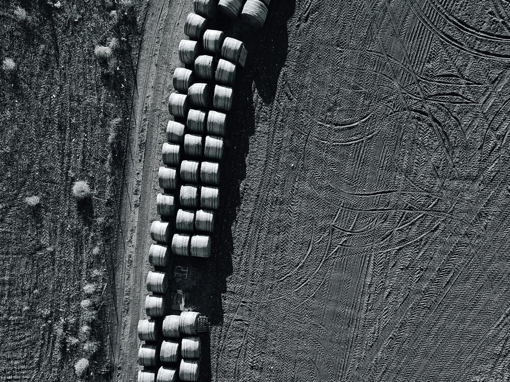 Photo #13832049
